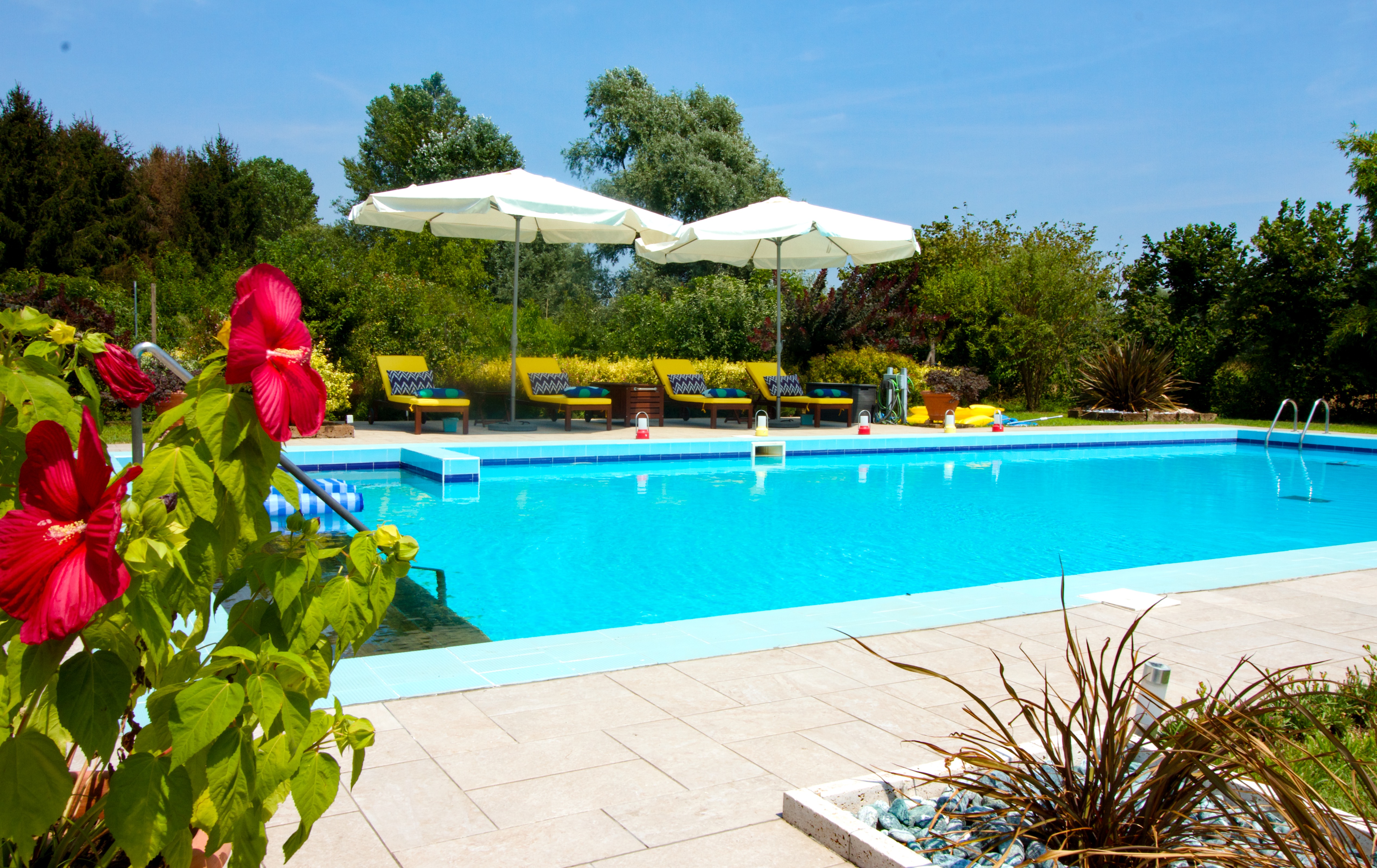 piscina piscine pool barbecue bbq bids birdwatching comfort country house green naturalist nature plot private relax renting house apartment animals apartment apartment renting wohnung fe-wo ferien schwimbad landwirt suite residence venedig veneto venetien Venice Venezia villa luxury villa wild country holidays hotel B&B room luxury gym billiard maison appartement Venise Venecia